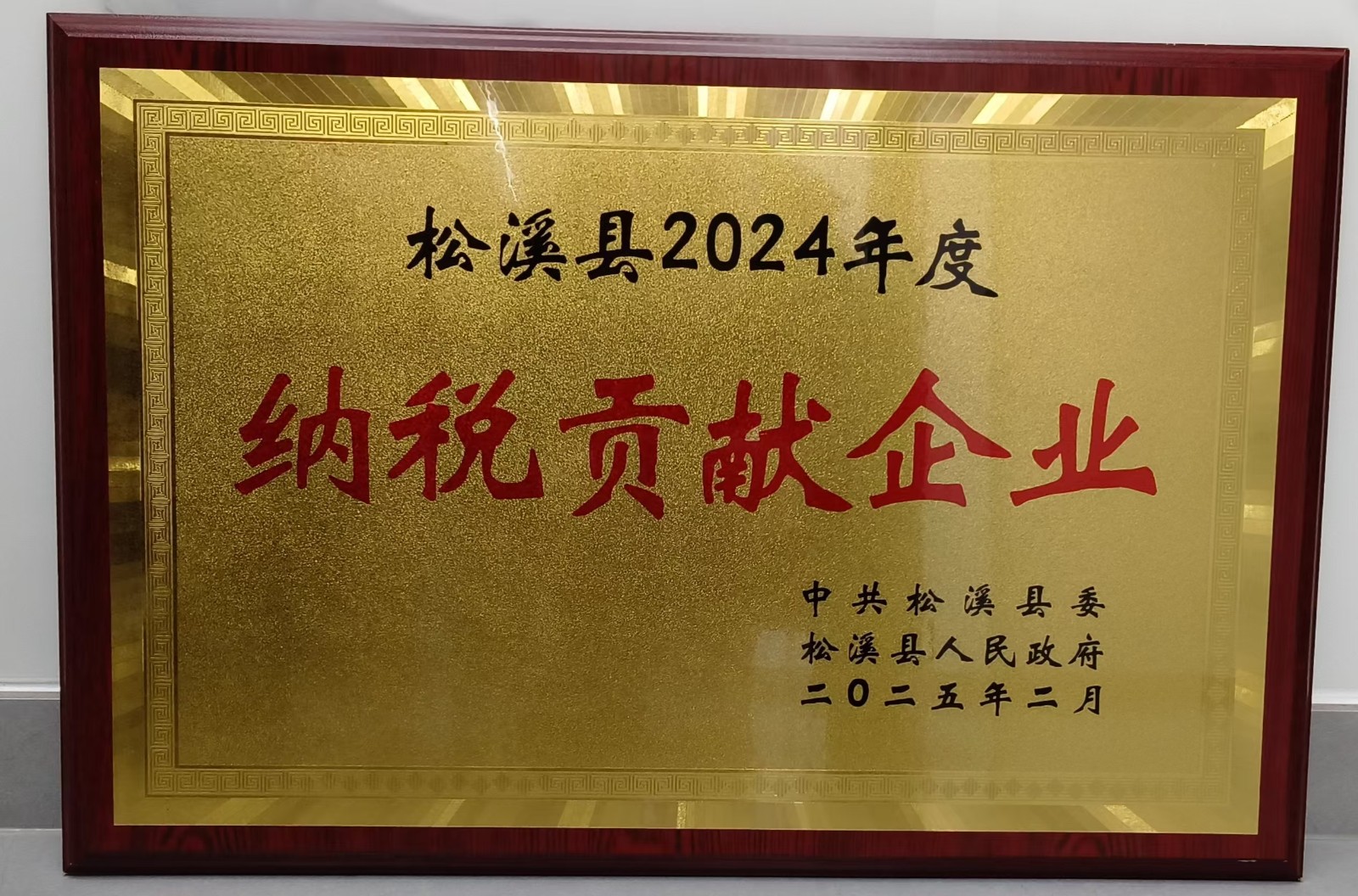 喜報!易順建工集團榮獲“松溪縣2024年度納稅貢獻企業”稱號